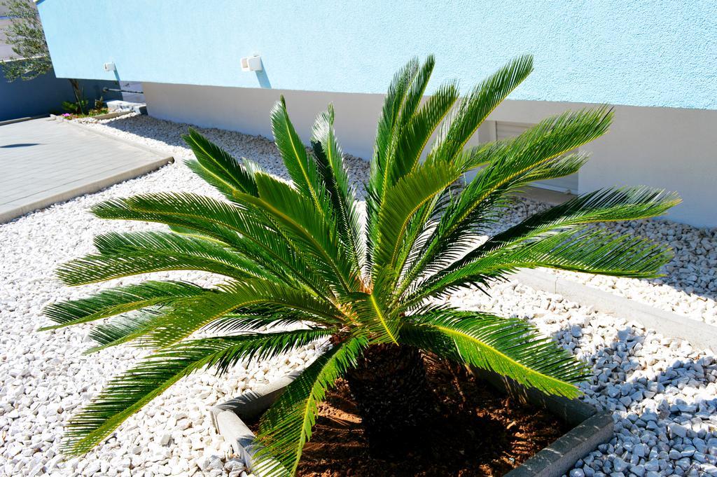 Permarinus Apartments بودْسْتغانا المظهر الخارجي الصورة